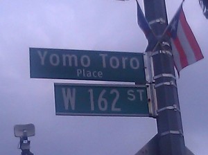 Yomo Toro Place